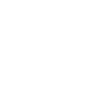 Ícone LS da Lehmkuhl & Schaeffer em branco